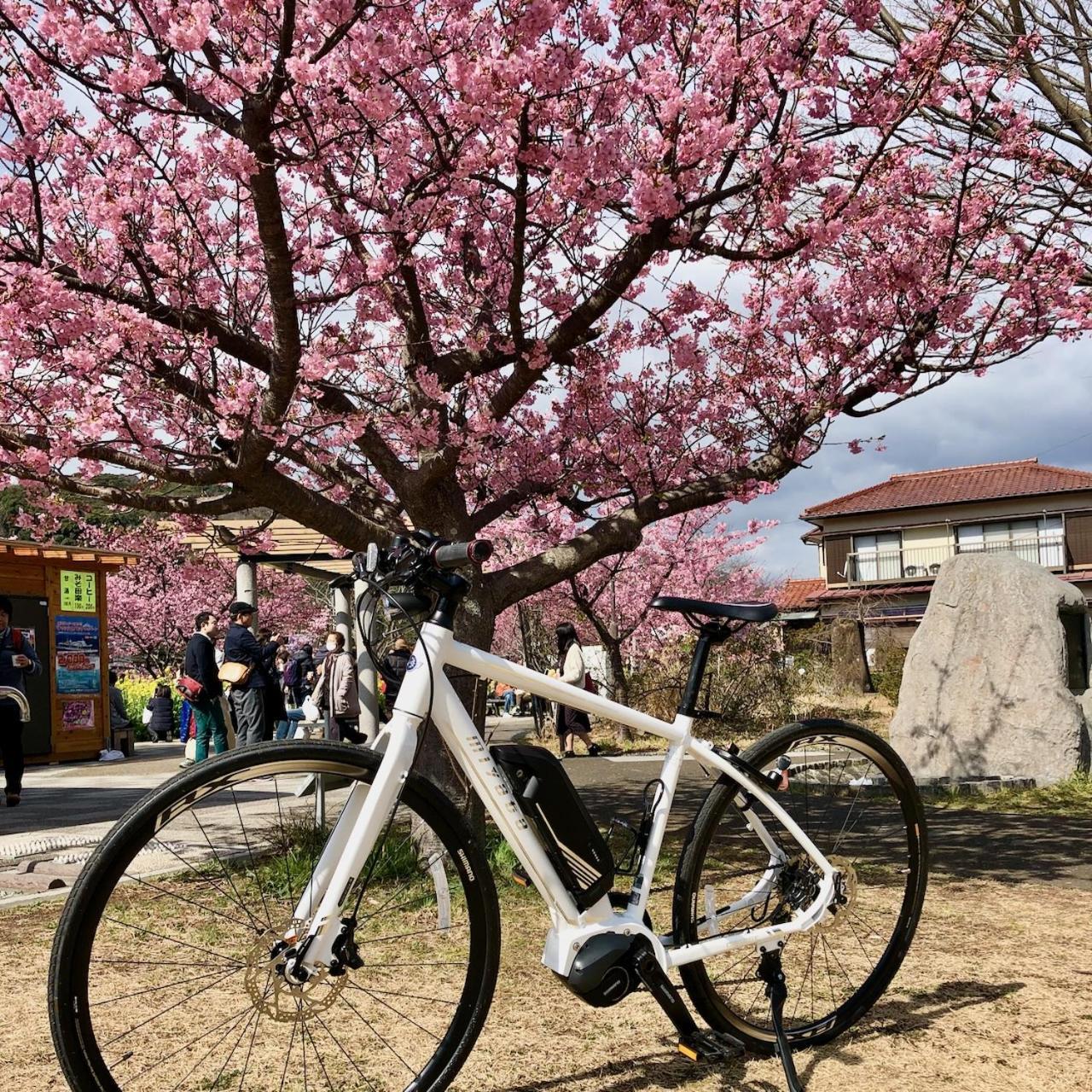 Kona Stay Bicycle Resort Izunokuni Exterior foto